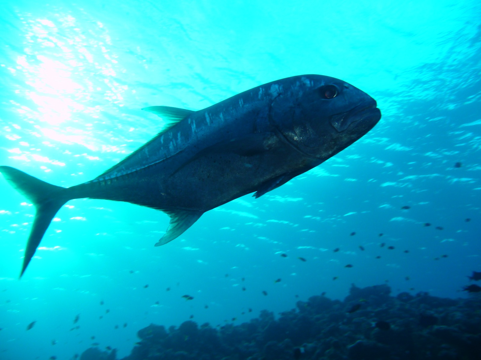 Soneva Fushi